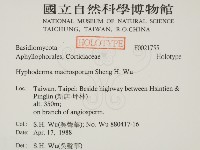 登錄號:F0021755藏品圖，第2張