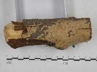 登錄號:F0021755藏品圖，第3張