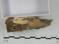登錄號:F0021756藏品圖，第3張