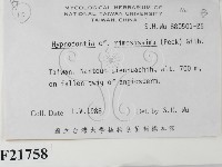 登錄號:F0021758藏品圖，第2張