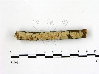 登錄號:F0021759藏品圖，第1張