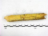 登錄號:F0021760藏品圖，第1張