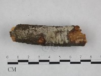 登錄號:F0021761藏品圖，第1張