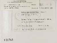 登錄號:F0021763藏品圖，第2張
