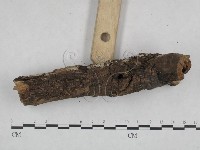 登錄號:F0021763藏品圖，第3張