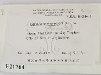 登錄號:F0021764藏品圖，第2張