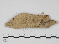 登錄號:F0021764藏品圖，第1張