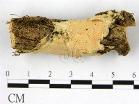 登錄號:F0021765藏品圖，第1張