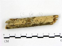 登錄號:F0021767藏品圖，第3張