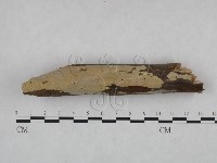 登錄號:F0021772藏品圖，第1張