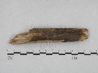 登錄號:F0021772藏品圖，第3張
