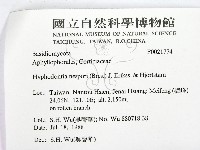 館號:F0021774藏品圖，第2張
