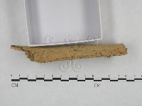 館號:F0021774藏品圖，第3張