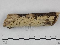 登錄號:F0021777藏品圖，第1張