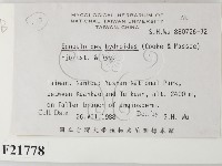 針齒銳岩菌藏品圖，第2張