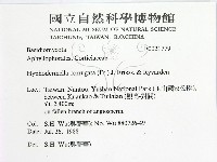 登錄號:F0021779藏品圖，第2張