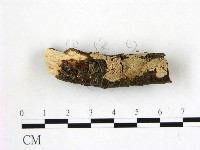 登錄號:F0021779藏品圖，第1張
