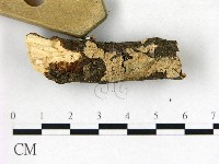 登錄號:F0021779藏品圖，第3張