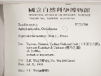 冇骨消絲齒菌藏品圖，第2張