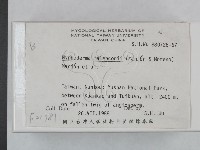 登錄號:F0021781藏品圖，第2張
