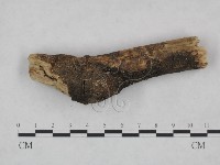 登錄號:F0021781藏品圖，第1張