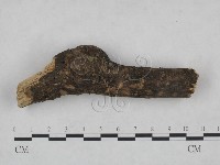 登錄號:F0021781藏品圖，第3張