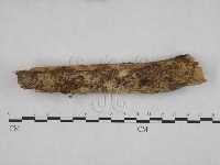 登錄號:F0021785藏品圖，第1張