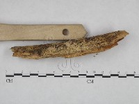 登錄號:F0021785藏品圖，第3張