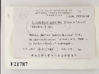 針齒銳岩菌藏品圖，第2張