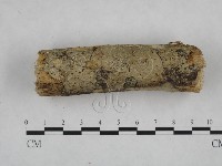 登錄號:F0021789藏品圖，第4張