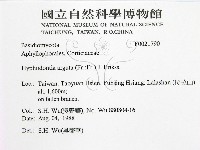 登錄號:F0021790藏品圖，第2張