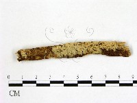 登錄號:F0021790藏品圖，第1張