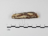 登錄號:F0021793藏品圖，第1張