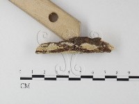 登錄號:F0021793藏品圖，第3張