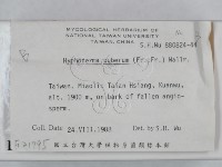 登錄號:F0021795藏品圖，第2張