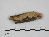 登錄號:F0021796藏品圖，第1張
