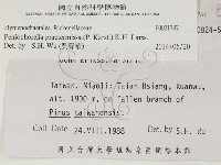 登錄號:F0021797藏品圖，第2張