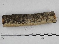 登錄號:F0021799藏品圖，第4張