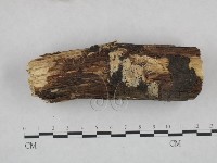 登錄號:F0021801藏品圖，第1張