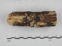 登錄號:F0021801藏品圖，第3張
