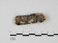 登錄號:F0021802藏品圖，第1張