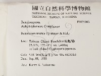 登錄號:F0021803藏品圖，第2張