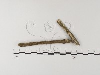 館號:F0021804藏品圖，第1張