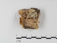 登錄號:F0021805藏品圖，第1張