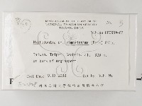 登錄號:F0021808藏品圖，第2張