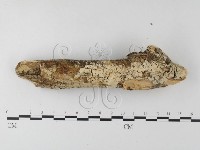 登錄號:F0021808藏品圖，第1張