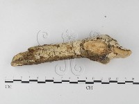 登錄號:F0021808藏品圖，第3張