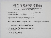 登錄號:F0021809藏品圖，第2張