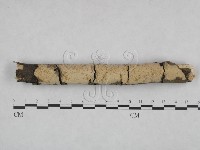 登錄號:F0021809藏品圖，第1張