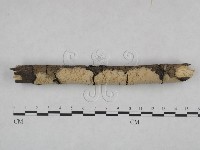 登錄號:F0021809藏品圖，第3張